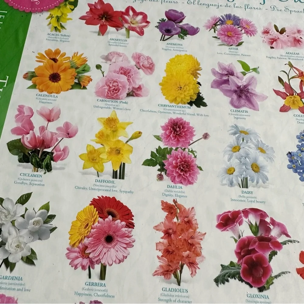 EUROGRAPHICS 1000pc The Language of Flowers Puzzle